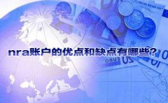 nra賬戶的優(yōu)點和缺點有哪些？
