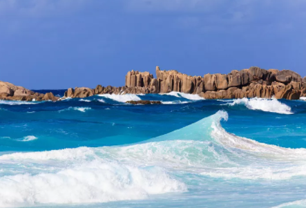 塞舌爾公司逾期年審有什么后果？