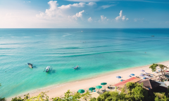 外國(guó)投資者進(jìn)行投資注冊(cè)印尼公司，對(duì)公司形式有何要求