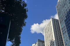 谷歌支付登陸沙特，支付寶于2026年接入，企業(yè)出海中東市場(chǎng)開(kāi)辟新的合作機(jī)遇