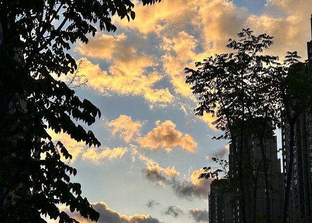 【深度解讀】2025年泰國用工風(fēng)向：合規(guī)＋成本雙維度，避免“無知吃虧”的5大雷區(qū)